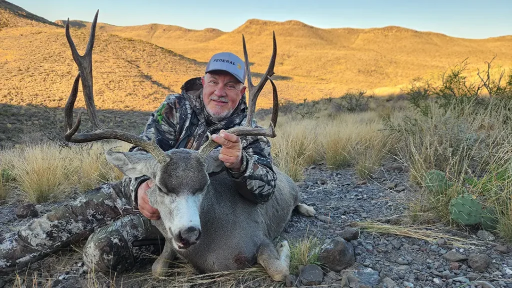 An older 10 point mule deer.