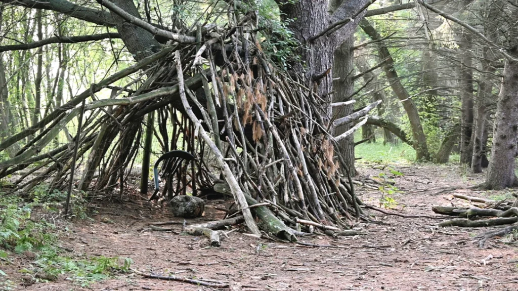 Survival Shelter