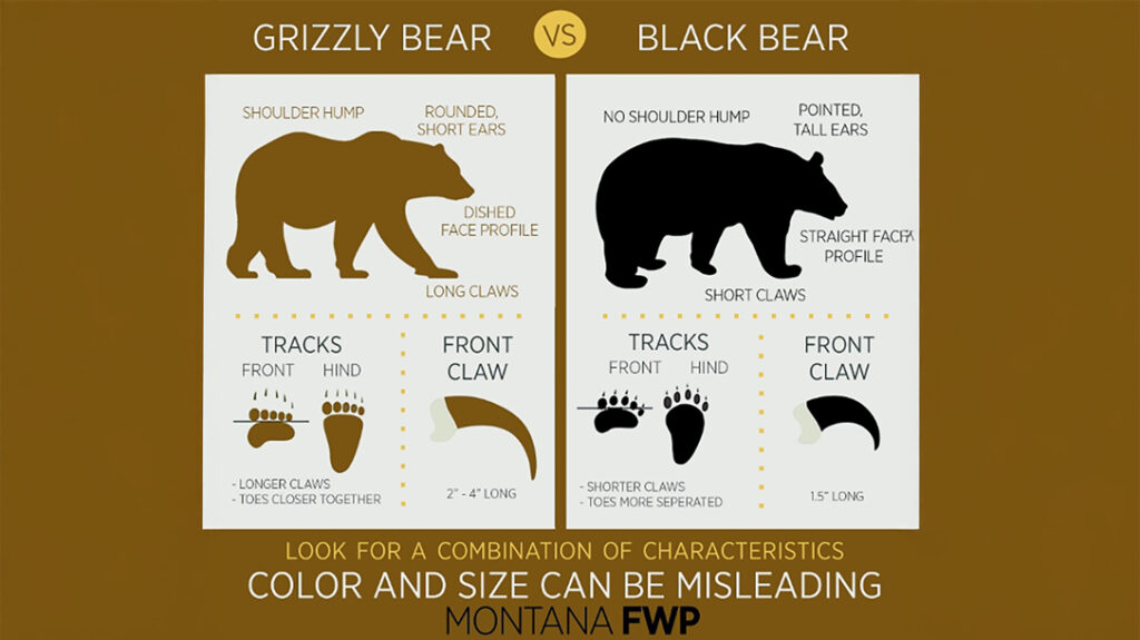 Know the difference.