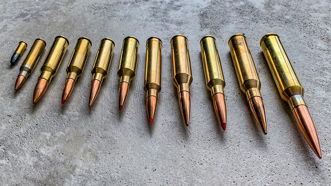 Bullet Designs, Ammunition, Ammo Decision